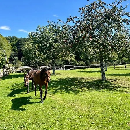 Paisible Au Bord De L'eau -15 Mn Des Cotes Ferienhaus