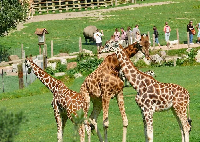 Paisible Au Bord De L'eau -15 Mn Des Cotes Ferienhaus Pierrefitte-en-Auge