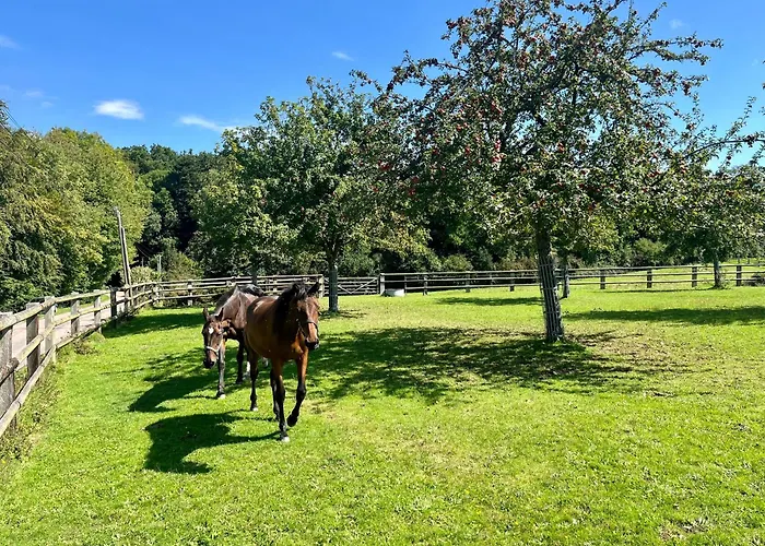 Paisible Au Bord De L'eau -15 Mn Des Cotes Ferienhaus